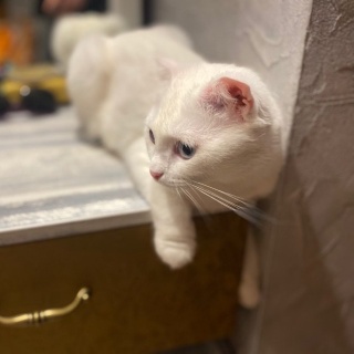 Тот, кого Нельзя называть