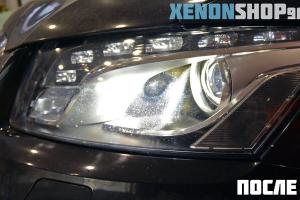 Фотография Xenonshop96 1