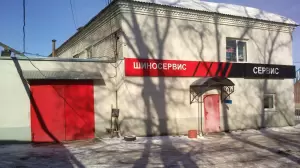 Фотография Медведь 1
