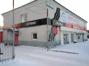 Фотография Медведь 2