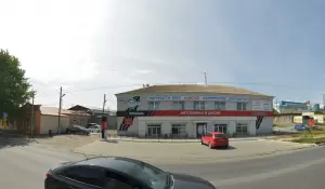 Фотография Медведь 4