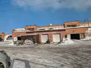 Фотография Доктор Шинкин 1