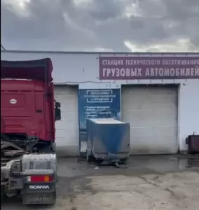 Фотография Березовая роща 3