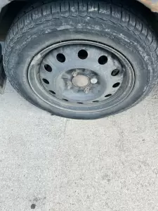 Фотография У Толяна 3