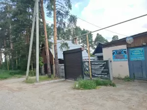 Фотография Bad monkey garage 0