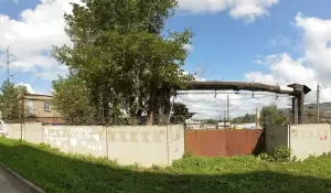 Фотография Протектор плюс 1