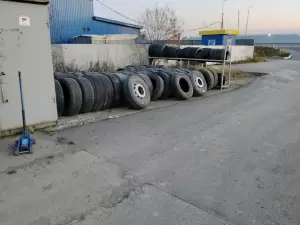 Фотография У Толяна 5