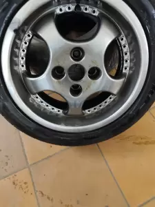 Фотография Медведь 5