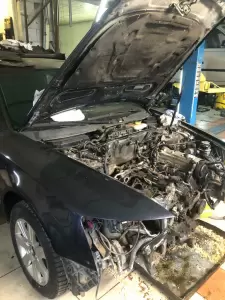 Фотография Самоделкин 1