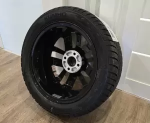 Фотография Медведь 4