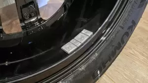 Фотография Медведь 5