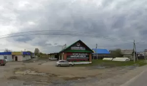 Фотография Медведь 0