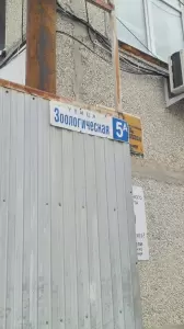 Фотография Alt-шина 2