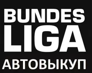 Фотография Bundesliga 3