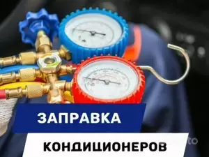 Фотография Альянс Стартер 0